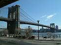 17 brooklyn